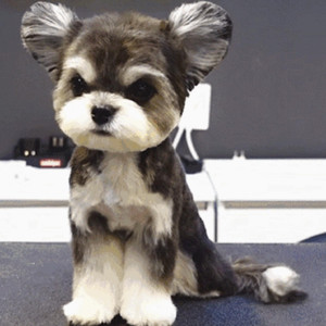 亚洲精品福利入口在线
