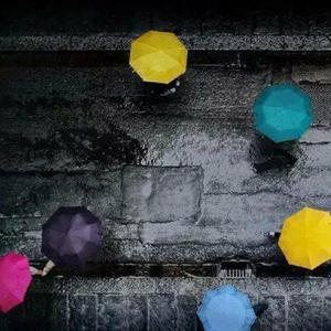 骚逼女人操屄视频
